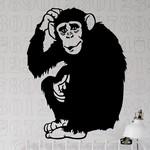 Chimpanz