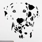 Dalmatien