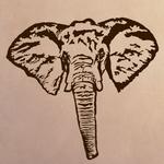 Eléphant - Tête