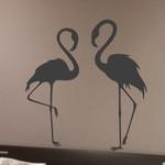 Flamants Roses - Couple