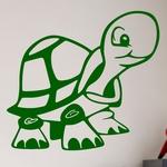 Jeune Tortue Cartoon