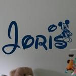 Joris Mickey