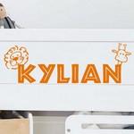 Kylian Savane