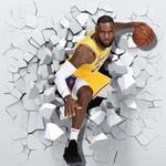 Lebron James 3D - Imprim