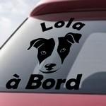 Lola  bord - Jack Russel