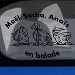 Mal, Sacha, Anas en Balade
