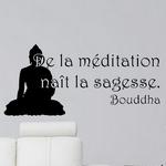 De la Mditation nat la Sagesse