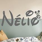 Nlio Mickey