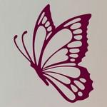 Papillon 03
