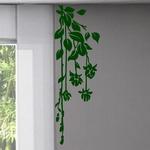 Plante retombante