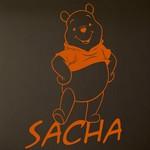 Sacha Winnie 3