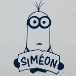 Simon Minion Kevin