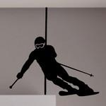 Ski Slalom 02