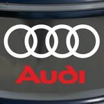 Audi Bicolor
