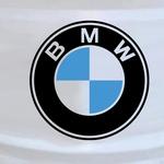 BMW Logo bicolor