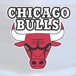 Chicago Bulls Logo Imprimé