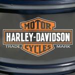 Harley Davidson Bicolor 2