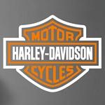 Harley Davidson Bicolor