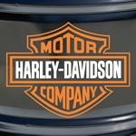 Harley Davidson Motor Company