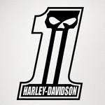 Harley Davidson One