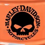 Harley Davidson - Tte de mort