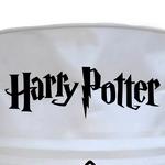 Harry Potter Texte