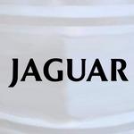 Jaguar Text