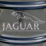 Jaguar Logo