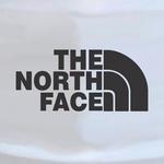 North Face Logo 02