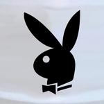 Playboy Logo