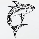 Requin Maori