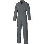 Dickies Combinaison Redhawk Grey ASDWD4839