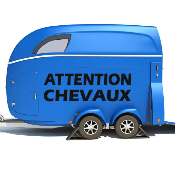 Sticker Attention Chevaux 01