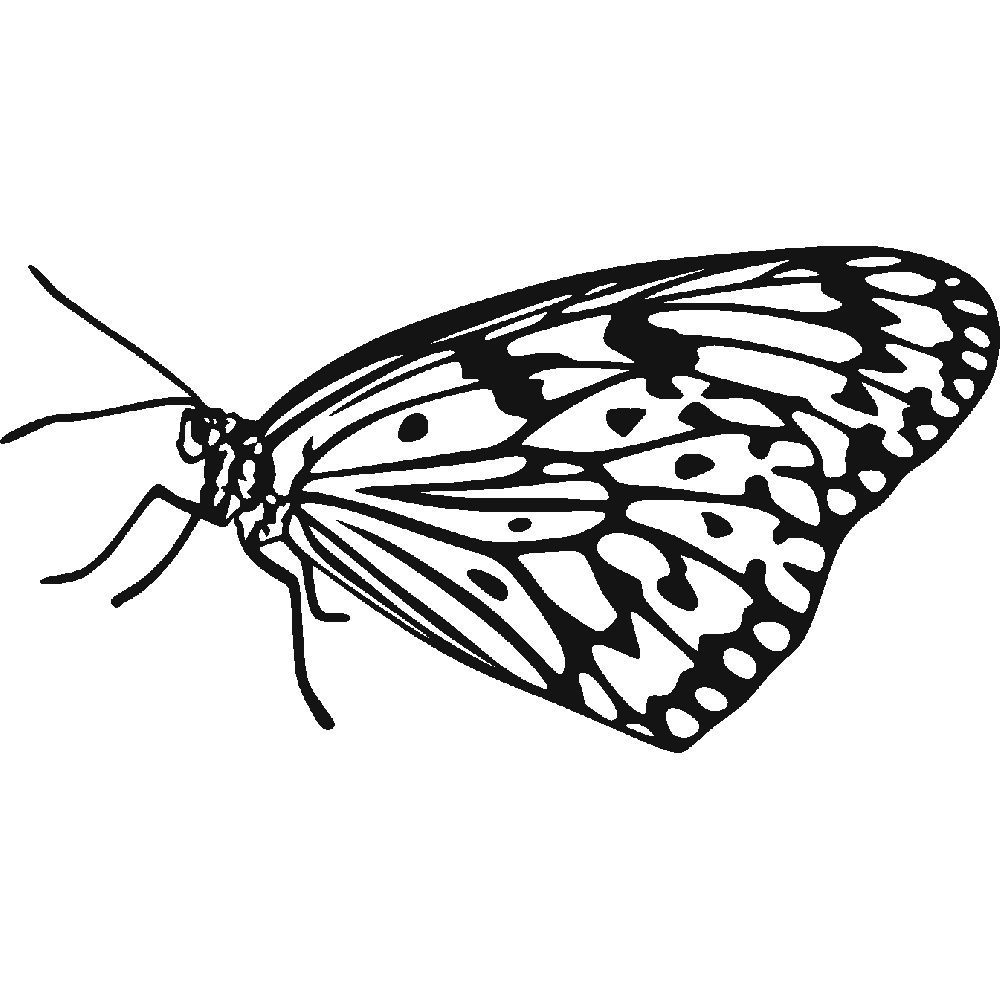 Muur sticker: aanpassing van Papillon Machaon