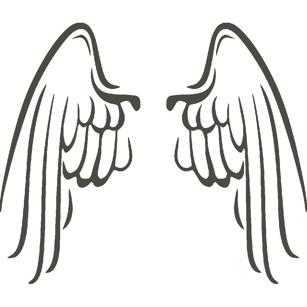 Muur sticker: aanpassing van Ailes d'ange