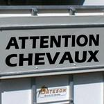 Attention Chevaux 01
