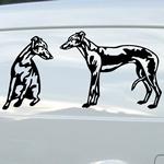 Lvriers Whippet