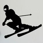 Ski Slalom 01