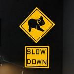 Slow Down