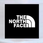 North Face Logo 01
